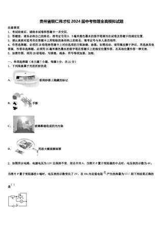 贵州省铜仁伟才校2024届中考物理全真模拟试题含解析.doc