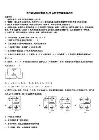 贵州都匀重点中学2024年中考物理仿真试卷含解析.doc