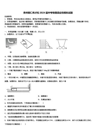 贵州铜仁伟才校2024届中考物理适应性模拟试题含解析.doc