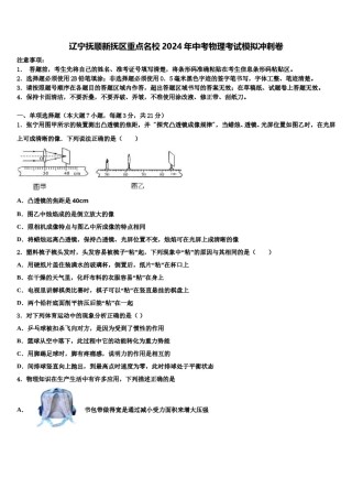 辽宁抚顺新抚区重点名校2024年中考物理考试模拟冲刺卷含解析.doc