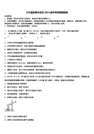 辽宁省抚顺市名校2024届中考物理猜题卷含解析.doc