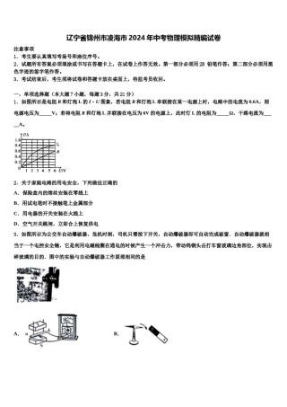 辽宁省锦州市凌海市2024年中考物理模拟精编试卷含解析.doc