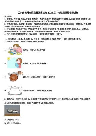 辽宁省锦州市滨海新区实验校2024届中考试题猜想物理试卷含解析.doc