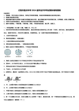 辽阳市重点中学2024届毕业升学考试模拟卷物理卷含解析.doc