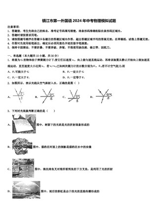 镇江市第一外国语2024年中考物理模拟试题含解析.doc