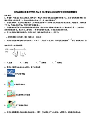 陕西省咸阳市秦岭中学2023-2024学年毕业升学考试模拟卷物理卷含解析.doc