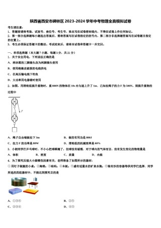 陕西省西安市碑林区2023-2024学年中考物理全真模拟试卷含解析.doc