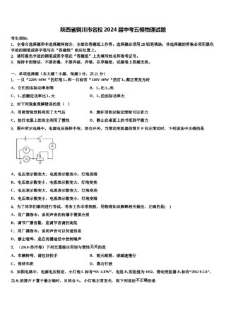 陕西省铜川市名校2024届中考五模物理试题含解析.doc