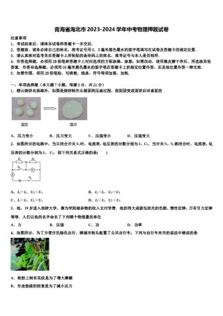 青海省海北市2023-2024学年中考物理押题试卷含解析.doc