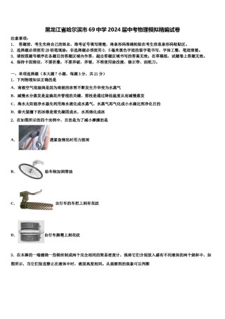 黑龙江省哈尔滨市69中学2024届中考物理模拟精编试卷含解析.doc