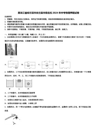 黑龙江省哈尔滨市依兰县市级名校2024年中考物理押题试卷含解析.doc