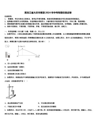 黑龙江省大庆市肇源2024年中考物理仿真试卷含解析.doc
