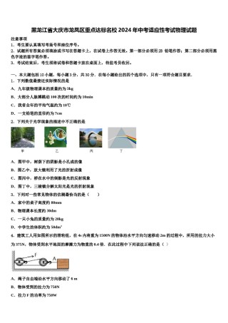 黑龙江省大庆市龙凤区重点达标名校2024年中考适应性考试物理试题含解析.doc