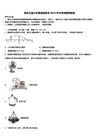 黑龙江省大庆肇源县联考2024年中考物理押题卷含解析.doc