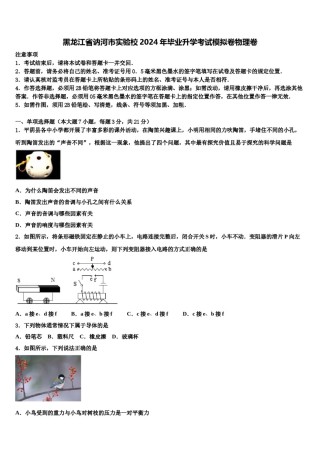 黑龙江省讷河市实验校2024年毕业升学考试模拟卷物理卷含解析.doc