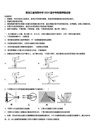 黑龙江省鸡西中学2024届中考物理押题试卷含解析.doc