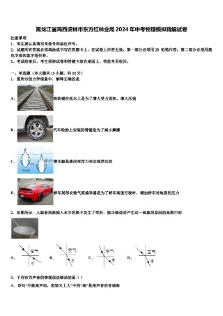 黑龙江省鸡西虎林市东方红林业局2024年中考物理模拟精编试卷含解析.doc