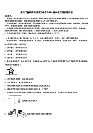 黑龙江省鹤岗市绥滨五中学2024届中考五模物理试题含解析.doc
