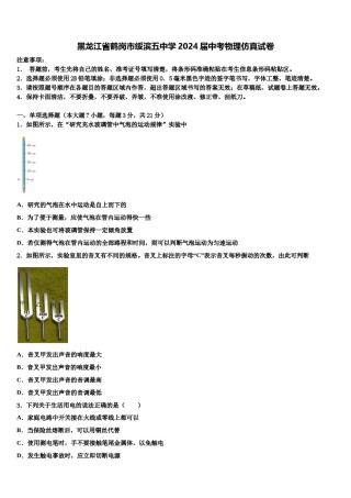 黑龙江省鹤岗市绥滨五中学2024届中考物理仿真试卷含解析.doc