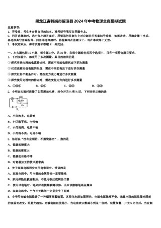 黑龙江省鹤岗市绥滨县2024年中考物理全真模拟试题含解析.doc