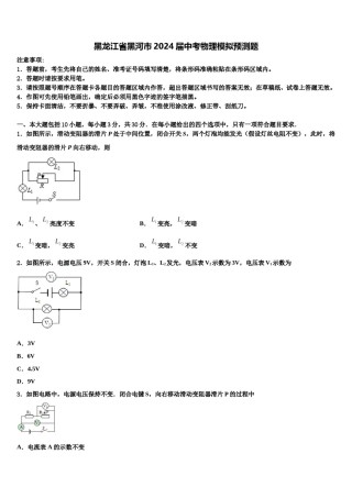 黑龙江省黑河市2024届中考物理模拟预测题含解析.doc