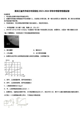 黑龙江省齐齐哈尔市实验校2023-2024学年中考联考物理试卷含解析.doc